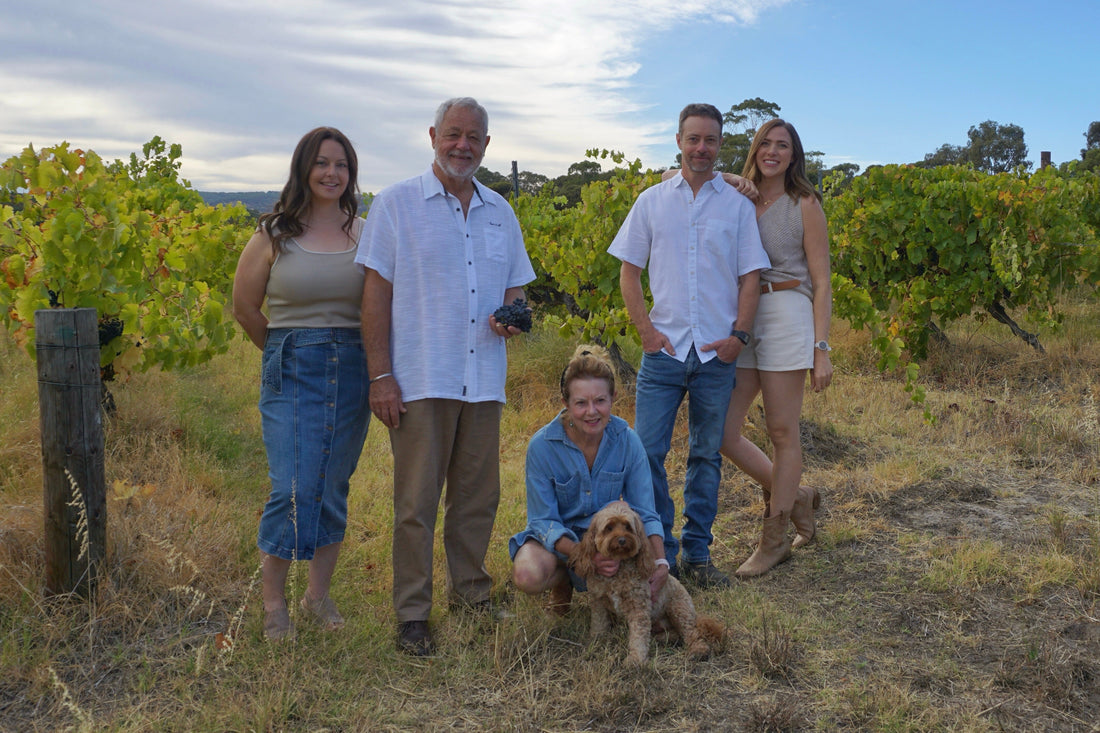 6 Boutique, Must-Visit, Family-Owned Wineries in McLaren Vale